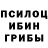 Галлюциногенные грибы MAGIC MUSHROOMS Tamerlan Play
