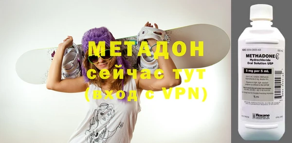 хмурый Аркадак