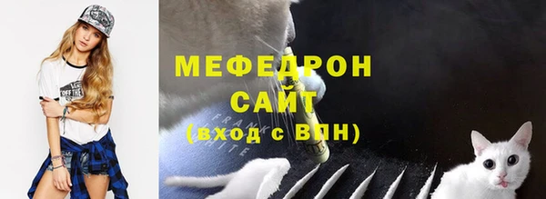 хмурый Аркадак