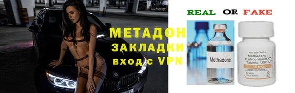 хмурый Аркадак