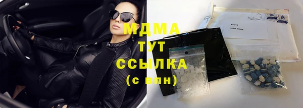 хмурый Аркадак
