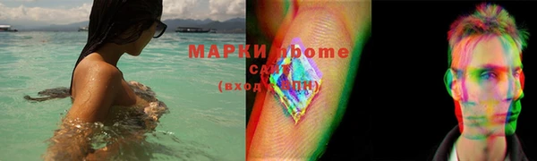 хмурый Аркадак