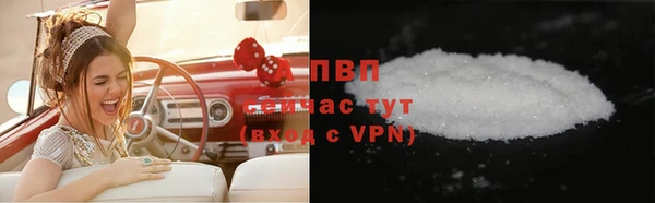 хмурый Аркадак