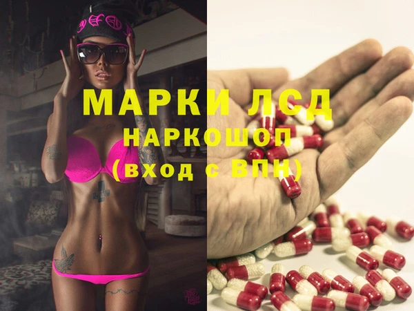 хмурый Аркадак