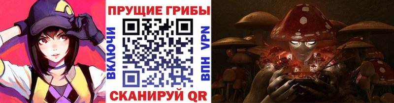 как найти закладки  Козьмодемьянск  кракен вход  Псилоцибиновые грибы ЛСД 